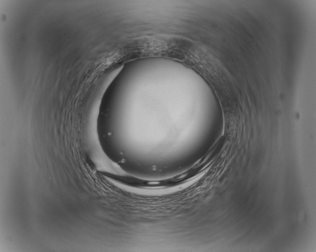 X0000067911153200604171331