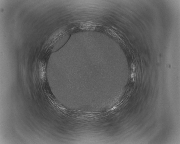 X0000067911154200604171331