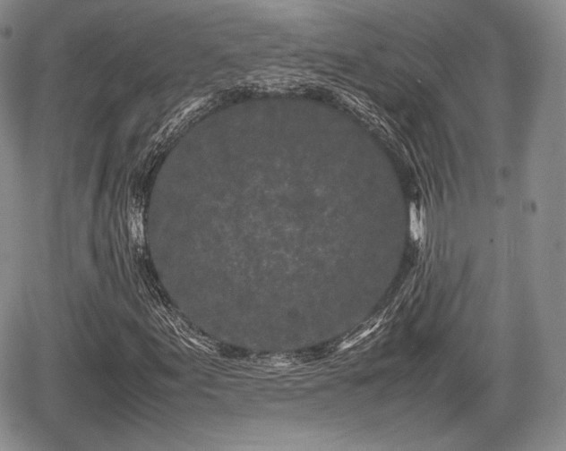 X0000067911155200604171331