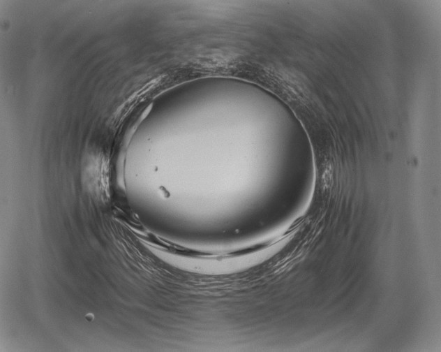 X0000067911156200604171331