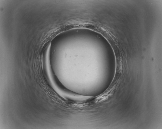 X0000067911157200604171331