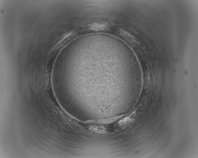 X0000067911158200604171331