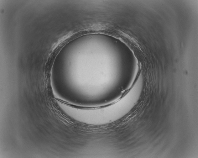 X0000067911160200604171331