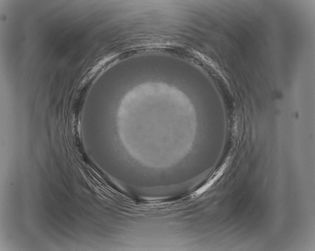 X0000067911161200604171331