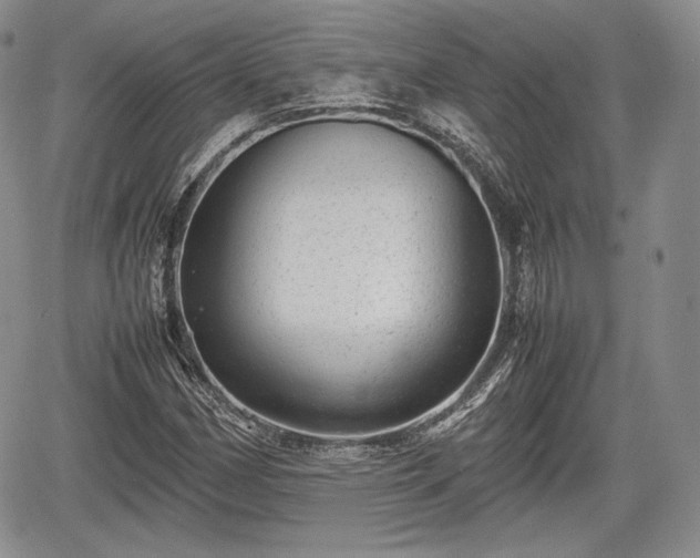 X0000067911162200604171331