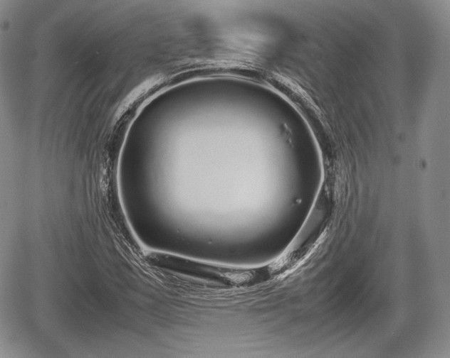 X0000067911163200604171331