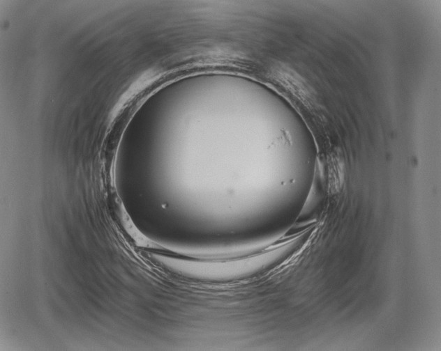 X0000067911164200604171331