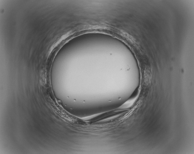 X0000067911165200604171331