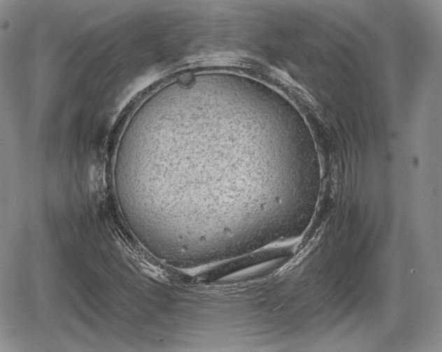 X0000067911166200604171331