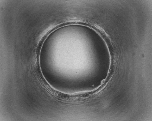 X0000067911167200604171331