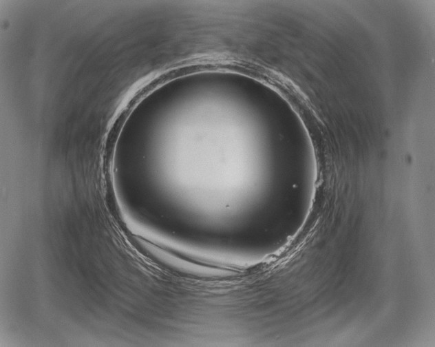 X0000067911168200604171331