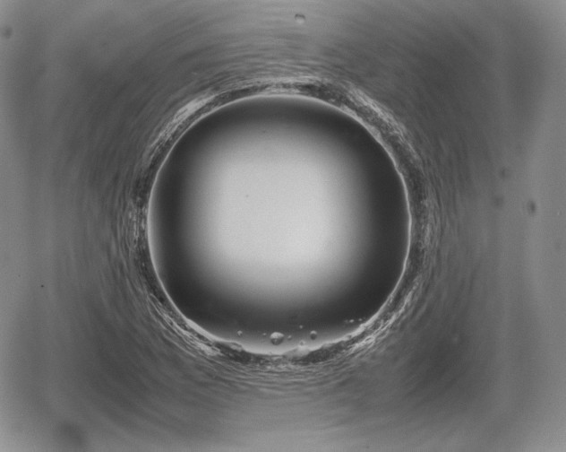 X0000067911169200604171331