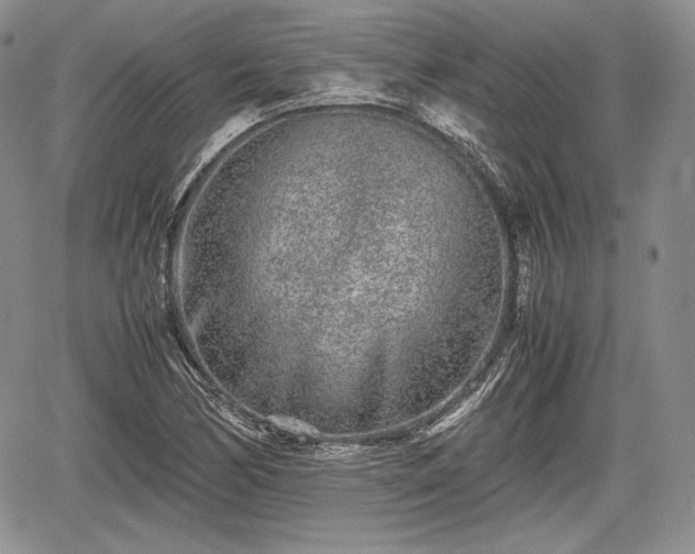 X0000067911170200604171331