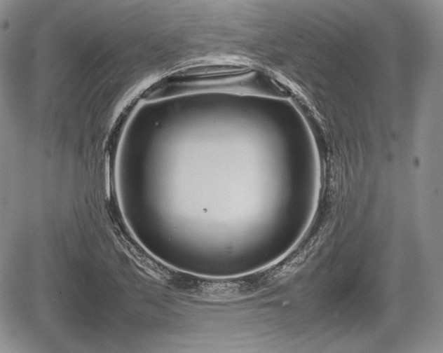 X0000067911171200604171331