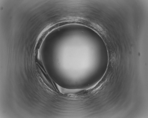 X0000067911172200604171331