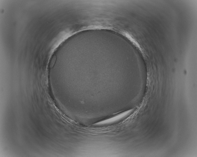 X0000067911173200604171331