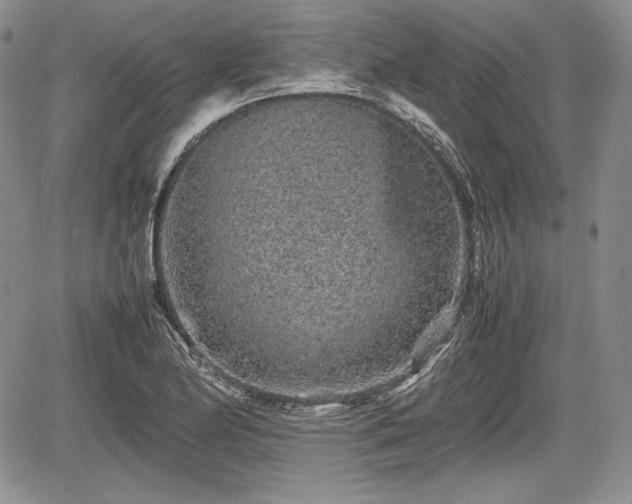 X0000067911174200604171331