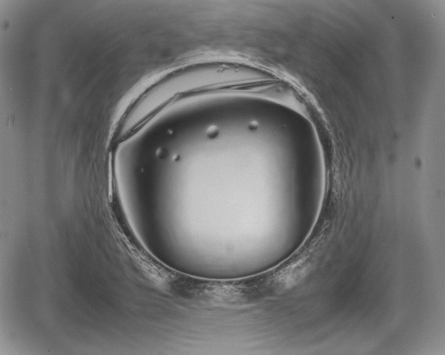 X0000067911175200604171331