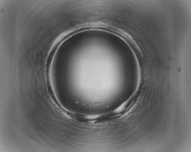 X0000067911176200604171331