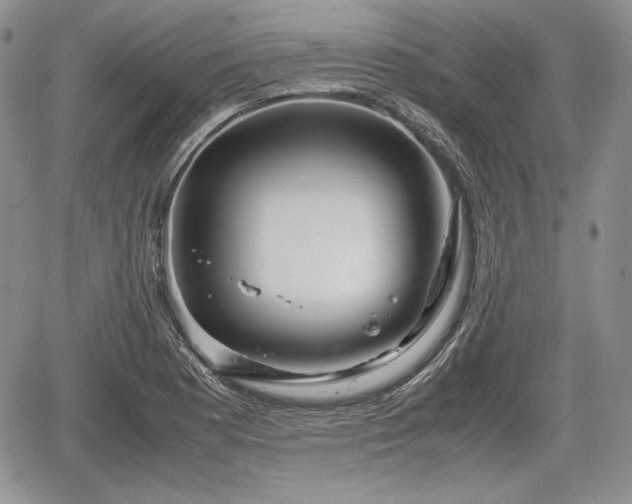 X0000067911177200604171331