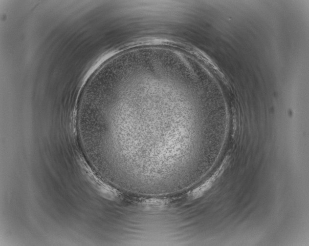 X0000067911178200604171331