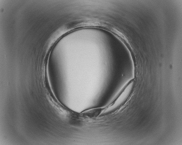 X0000067911179200604171331