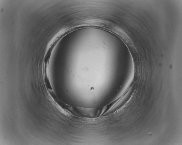 X0000067911180200604171331