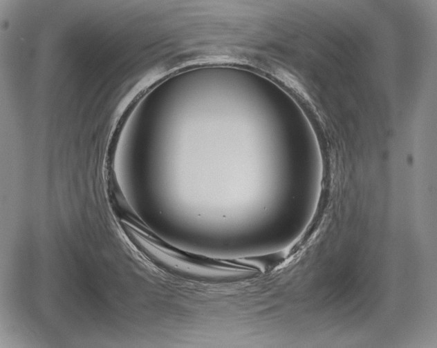 X0000067911181200604171331