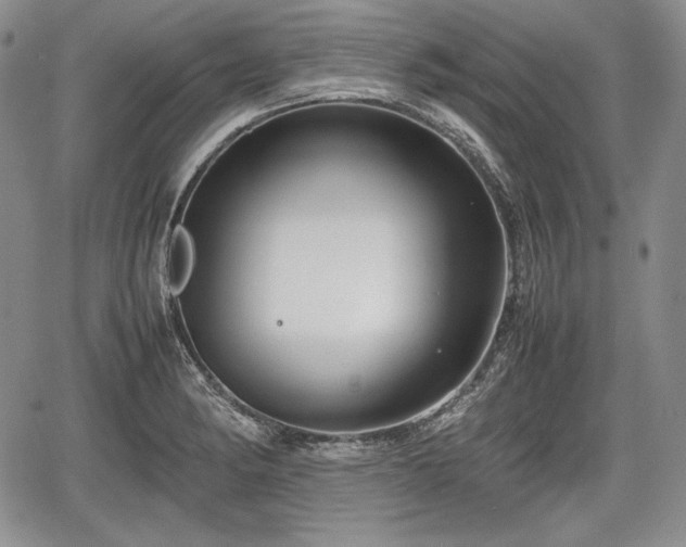 X0000067911182200604171331