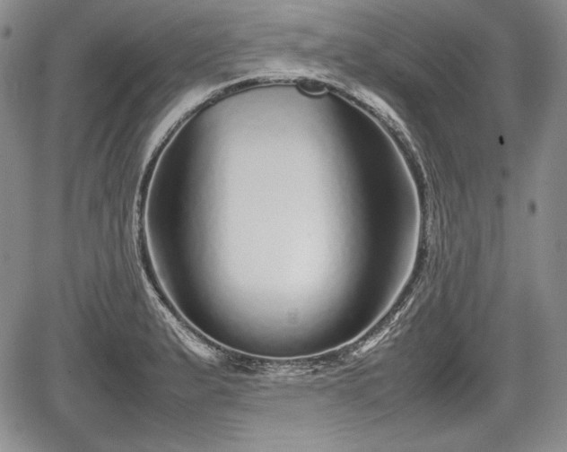 X0000067911183200604171331