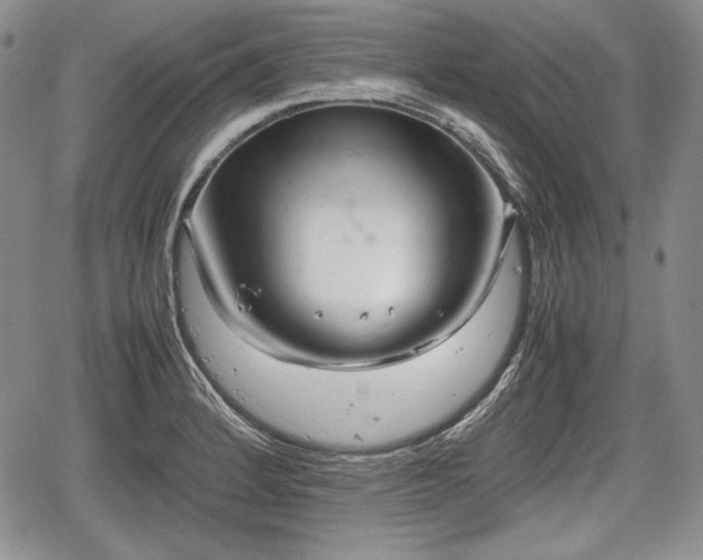 X0000067911184200604171331