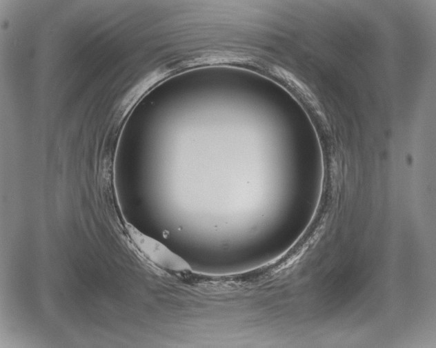 X0000067911185200604171331