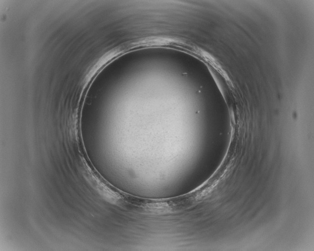 X0000067911186200604171331