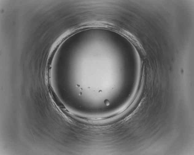 X0000067911188200604171331