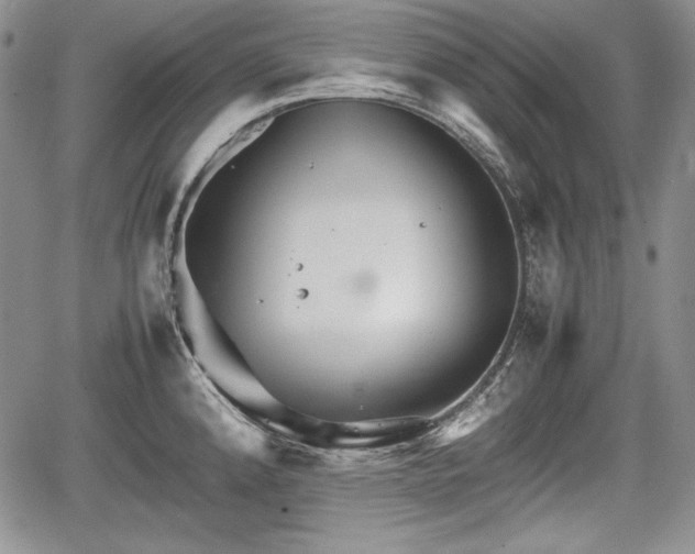 X0000067911192200604171331