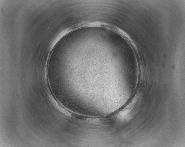 X0000067911194200604171331