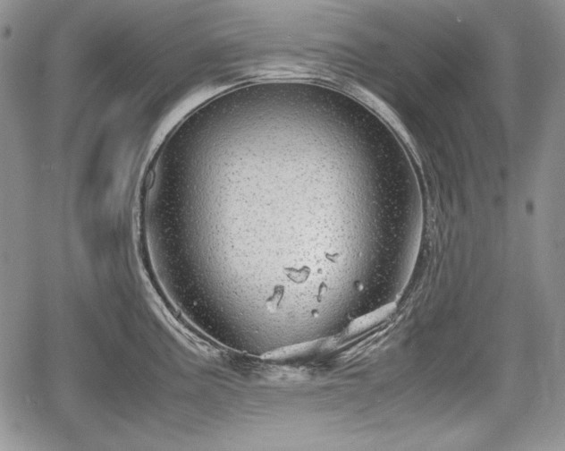 X0000067911195200604171331