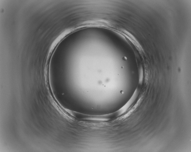 X0000067911196200604171331