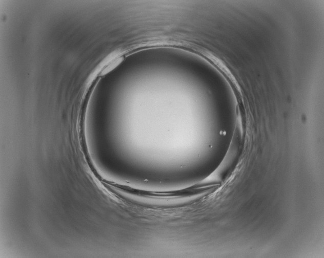 X0000067911197200604171331