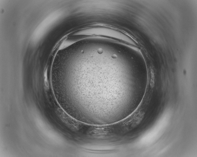 X0000067911198200604171331