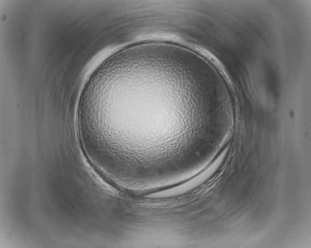 X0000067911199200604171331