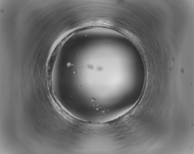 X0000067911200200604171331