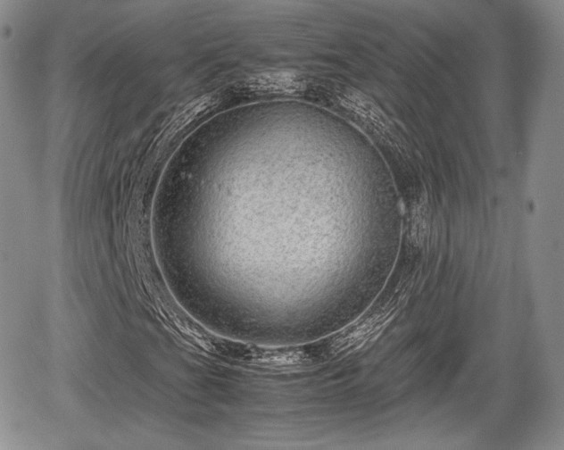 X0000067911201200604171330