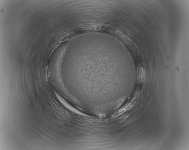 X0000067911202200604171330