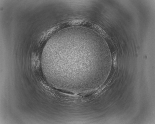 X0000067911204200604171330