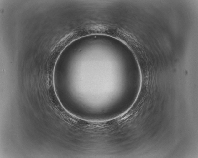 X0000067911205200604171330