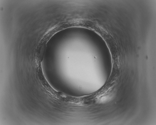 X0000067911206200604171330