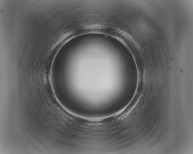 X0000067911209200604171330