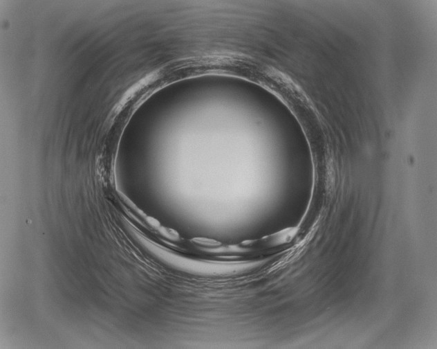 X0000067911210200604171330