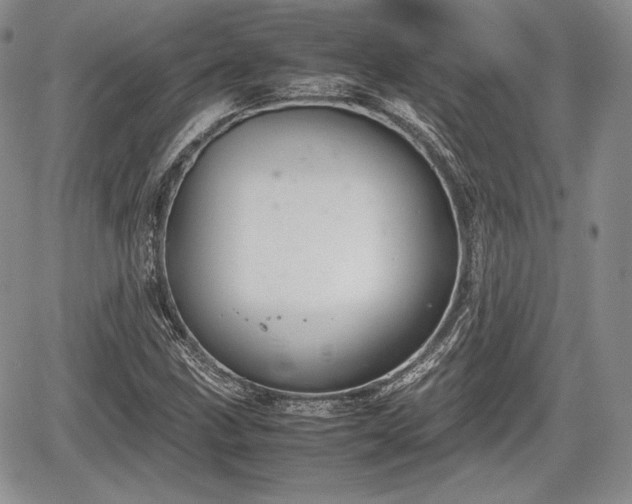 X0000067911211200604171330